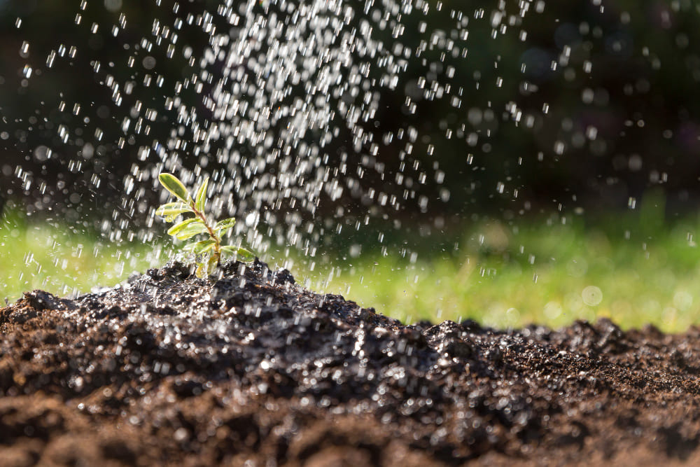 Irrigation System
